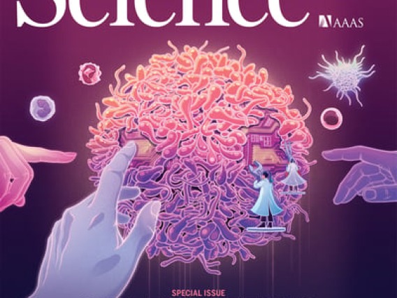 cover Science journal