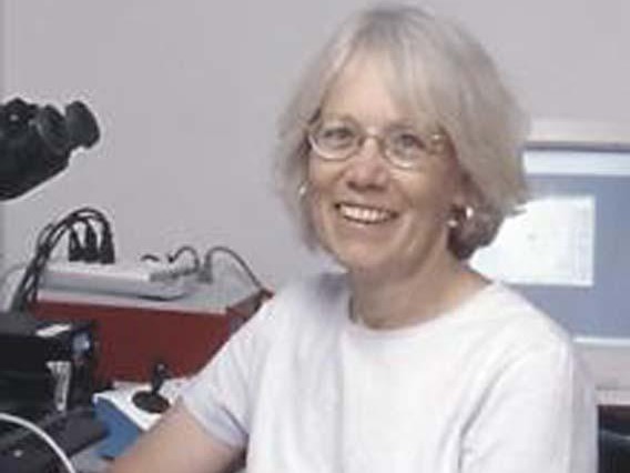 Lynne Oland, Ph.D.