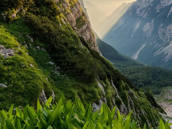 Image of Triglav National Park