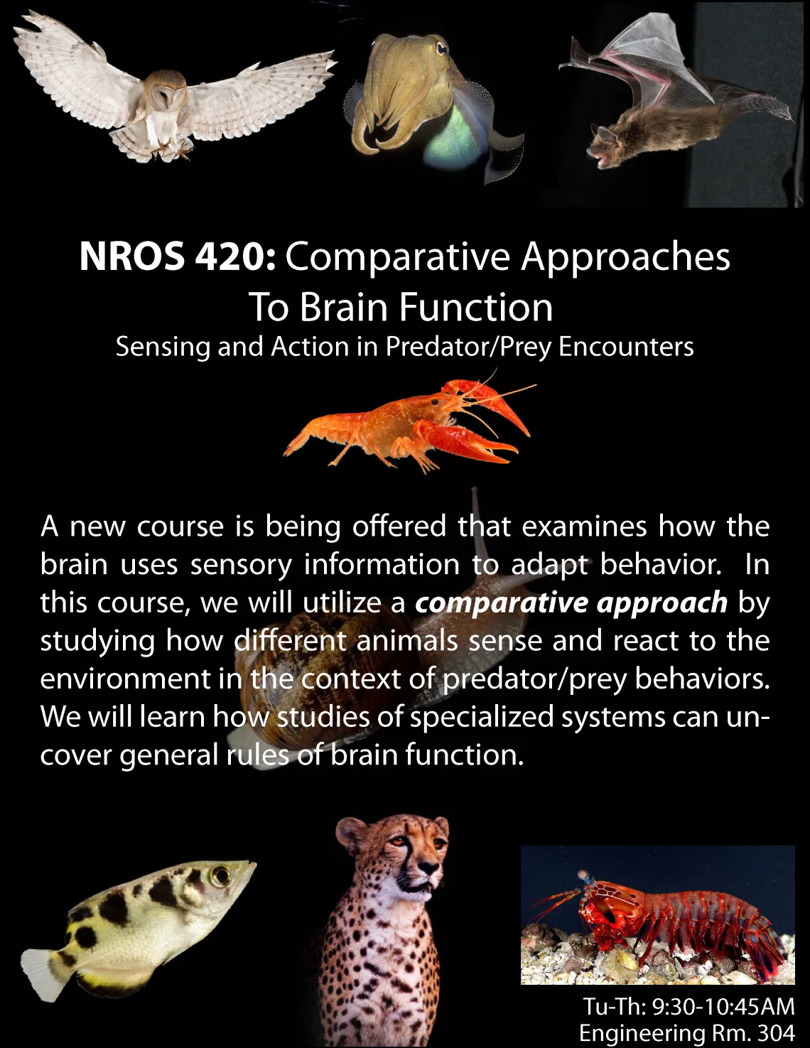 NROS 420 Flyer 08.20.21_0.jpg