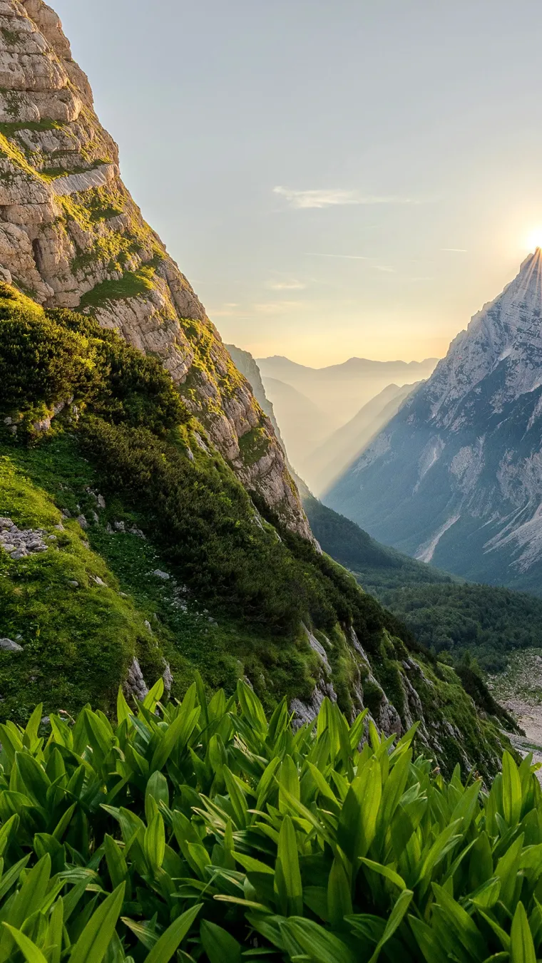 Image of Triglav National Park